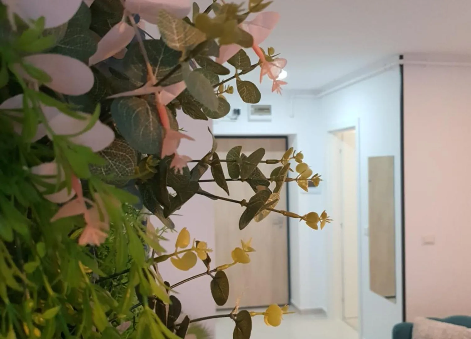 Premium Hils Brauner Studio Bucharest Romania